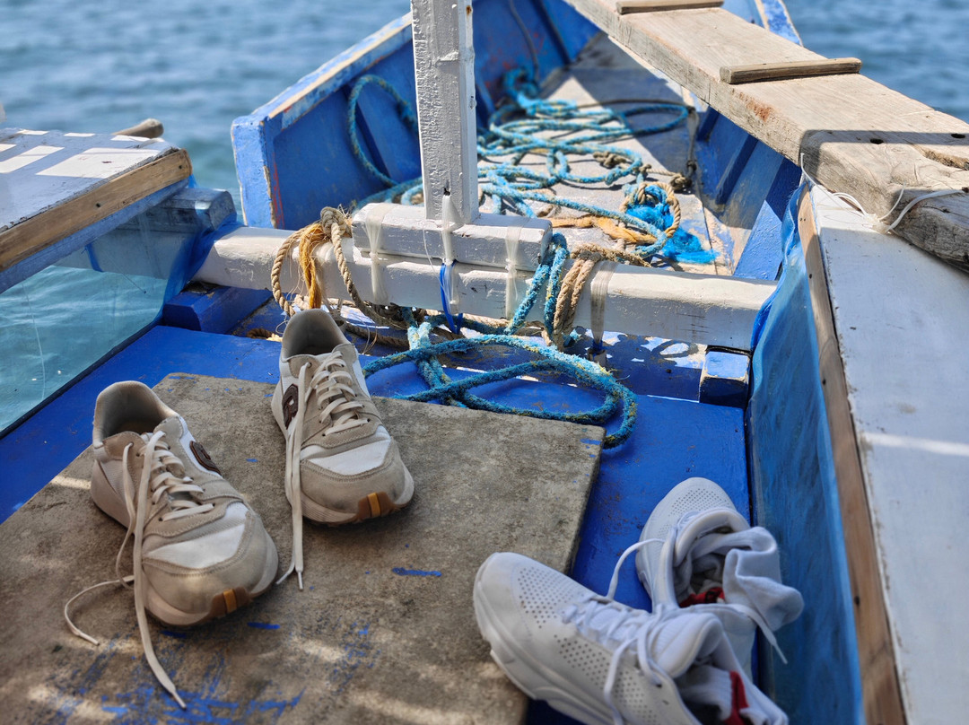 Apo Reef Natural Park-Sablayan必去景点