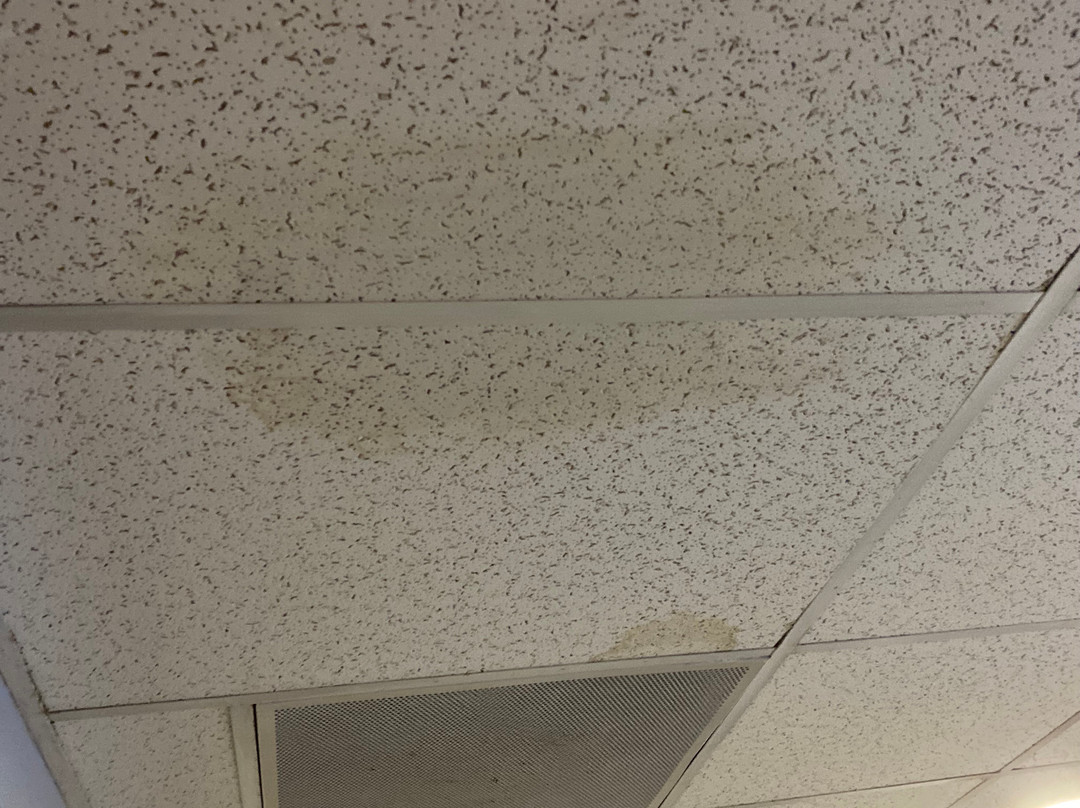 格兰维多利亚贝斯特韦斯特酒店主图