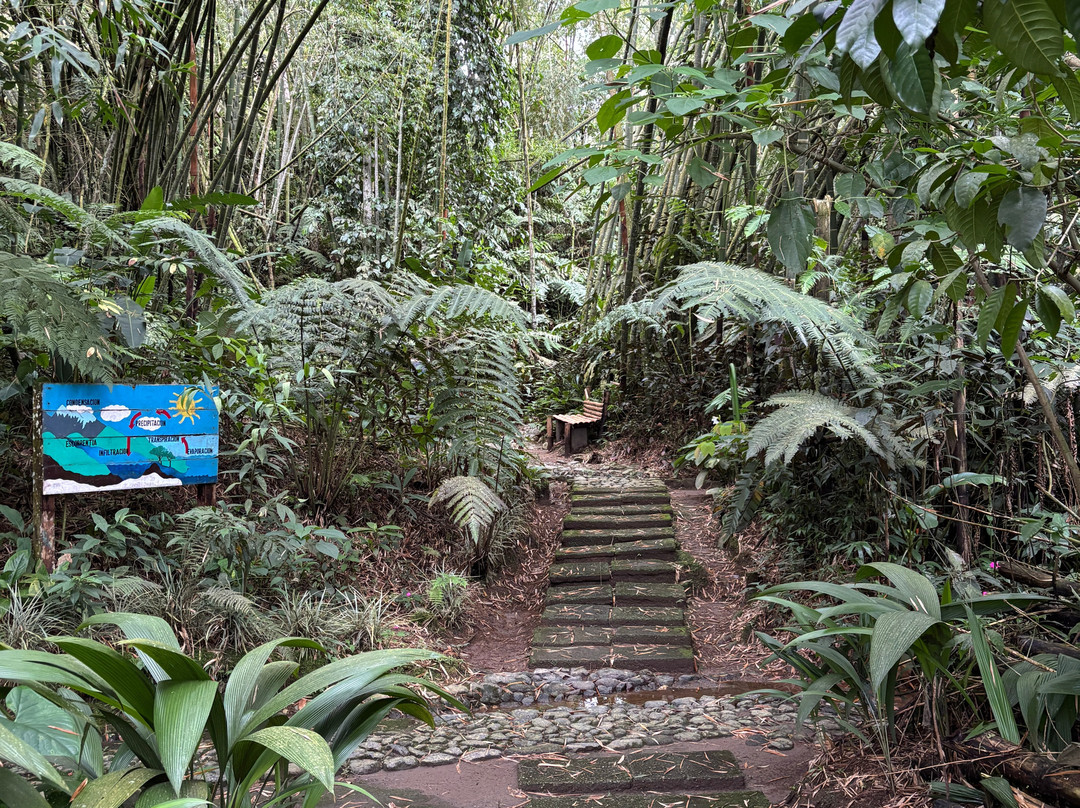 Jardin Botanico Alejandro Humboldt-Marsella必去景点