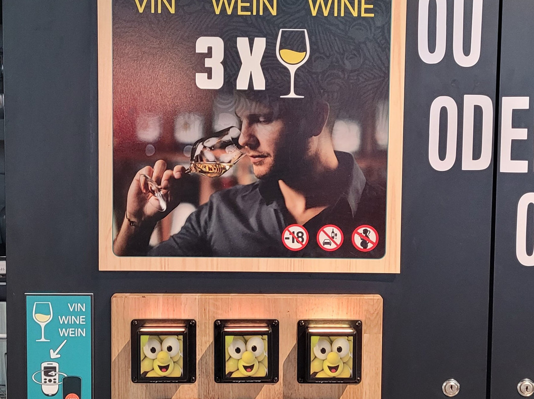 Musée des Vins d'Alsace-科尔马必去景点