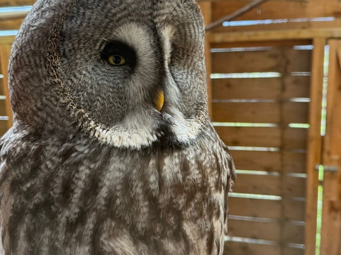 Wild Zoological Park-Bobbington必去景点