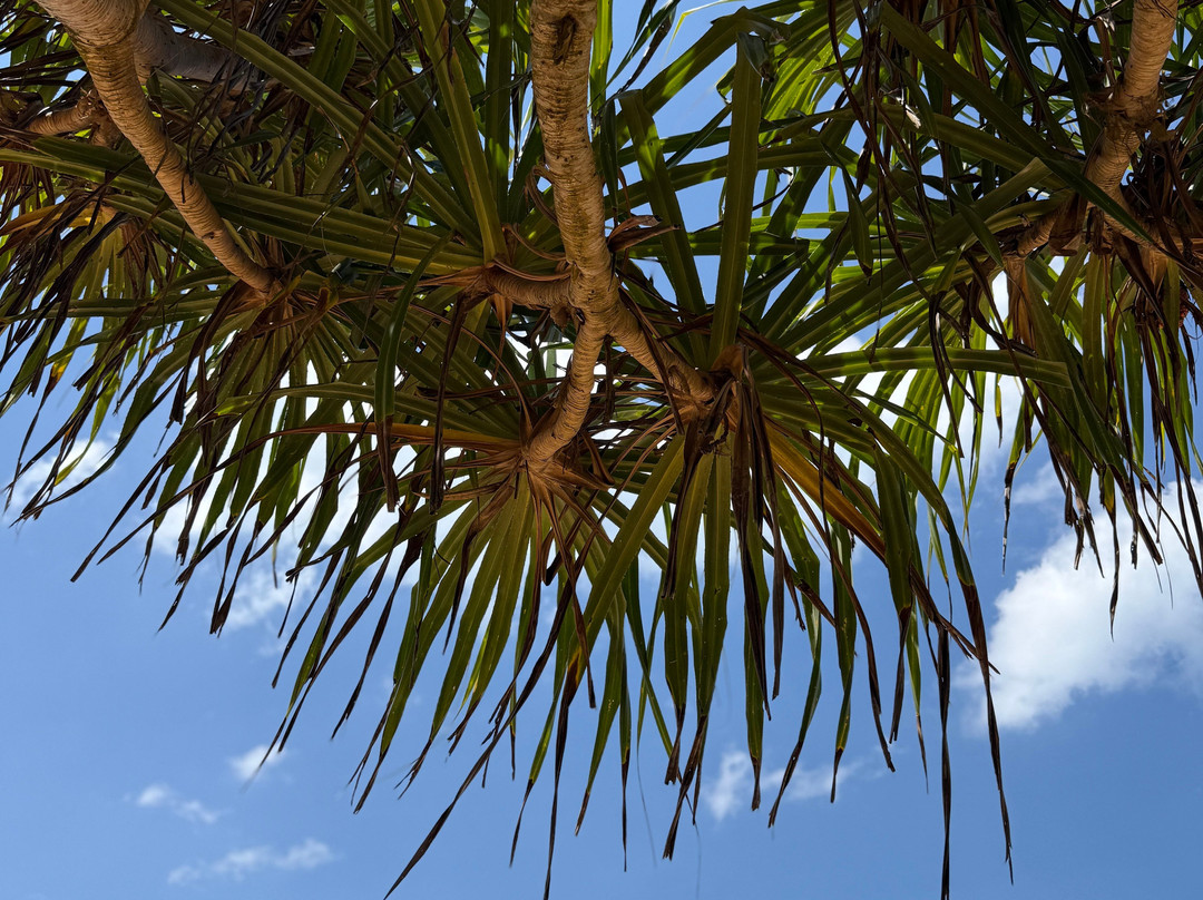 Bhathiya Tours-加勒必去景点