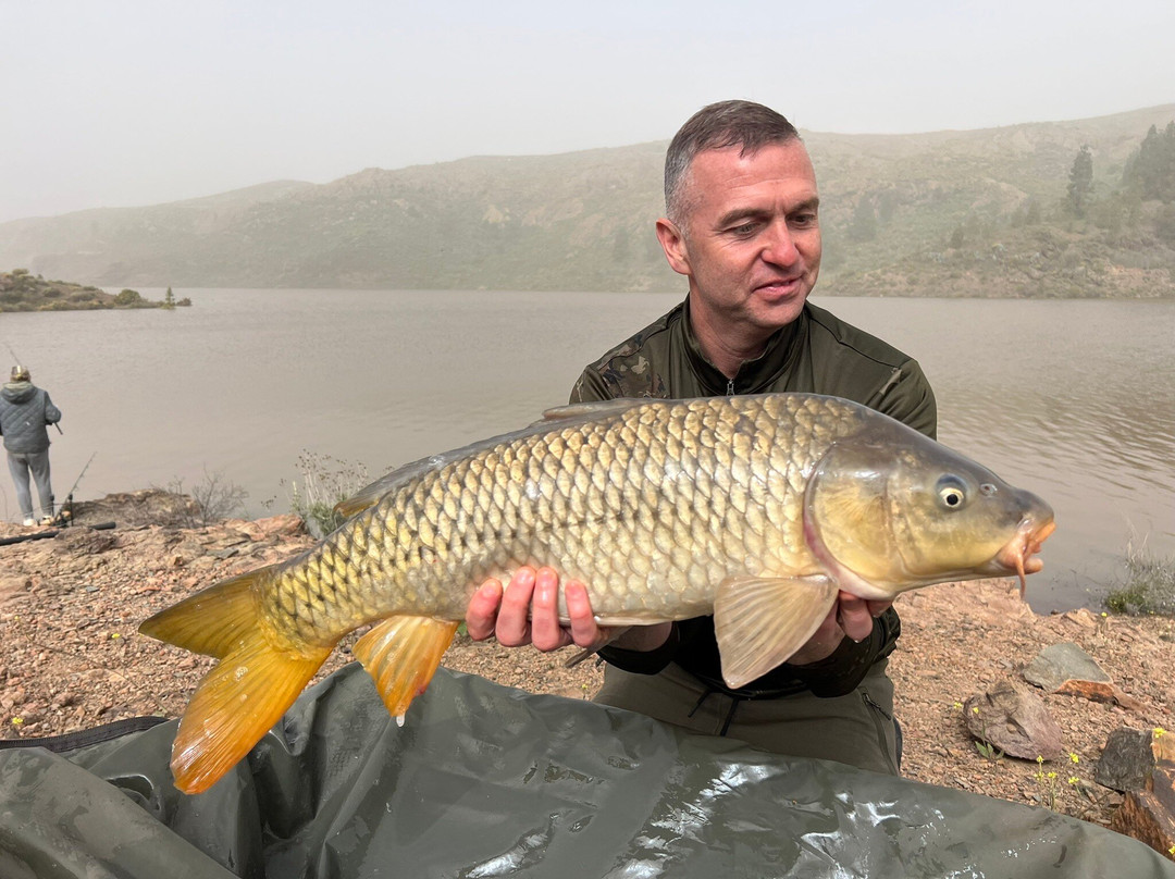 Carp Gran Canaria-San Bartolome de Tirajana必去景点