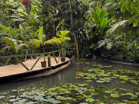 巨人的沉睡花园-纳迪市必去景点