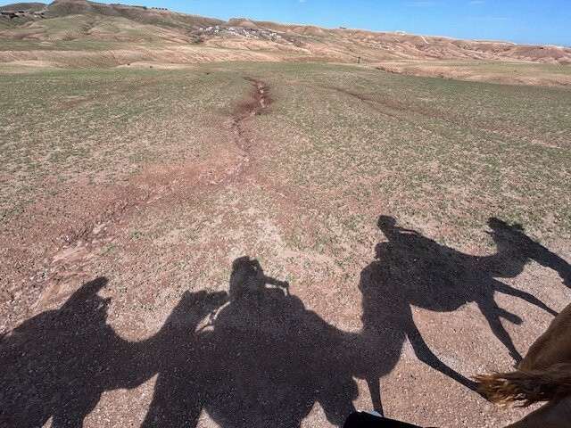 Morocco Easy Tours - Morocco Tours-马拉喀什必去景点