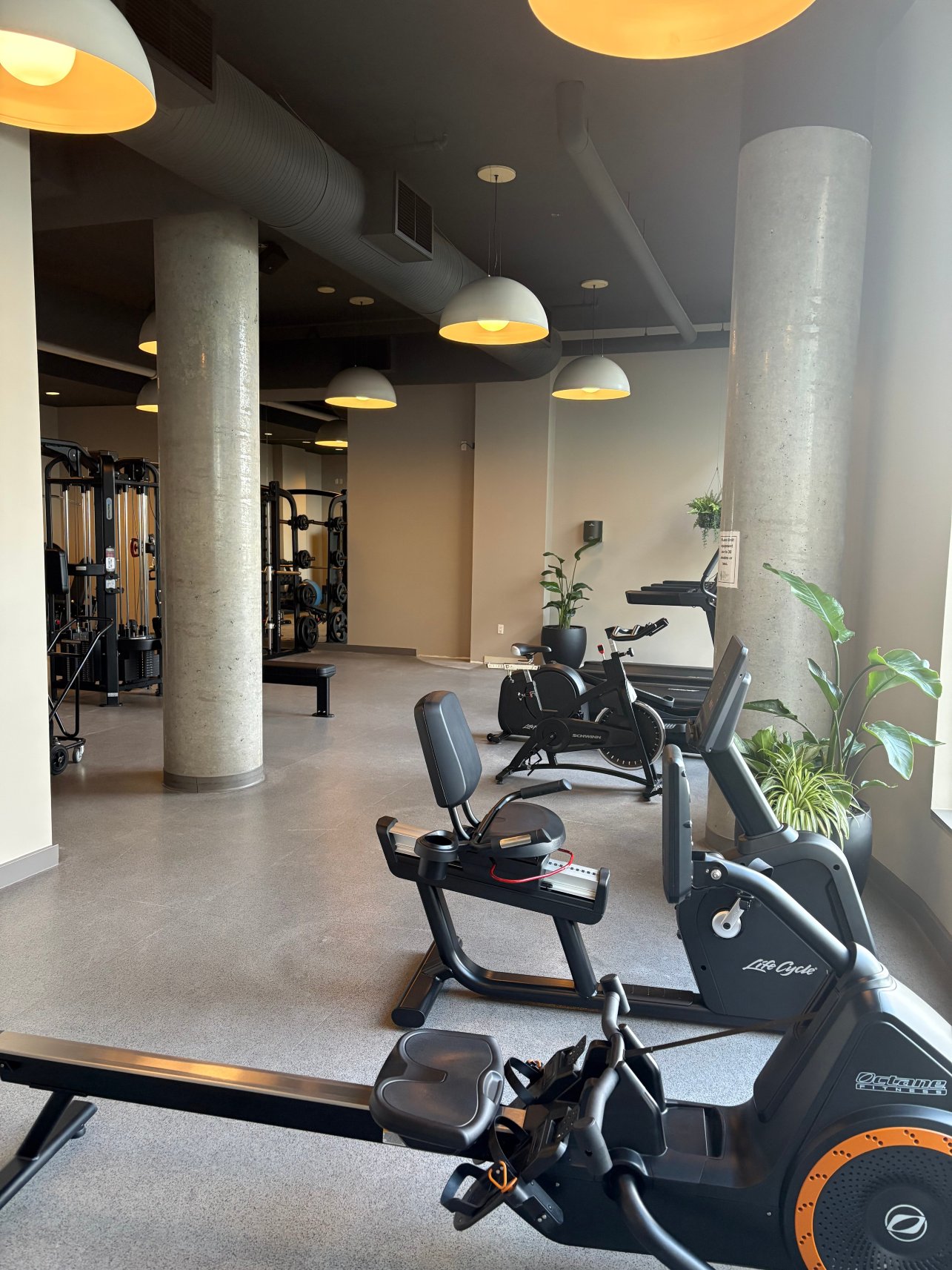 悉尼码头温泉酒店-官方