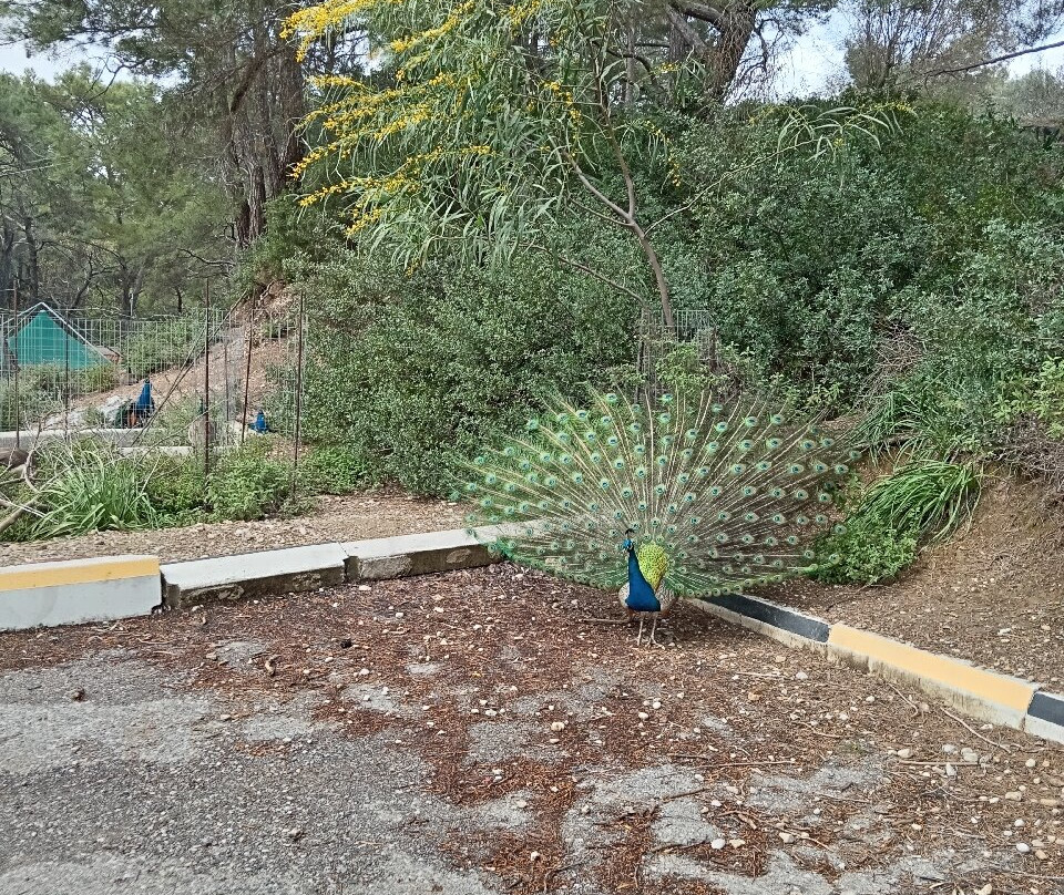 Seven Springs Tunnel-科林比亚必去景点