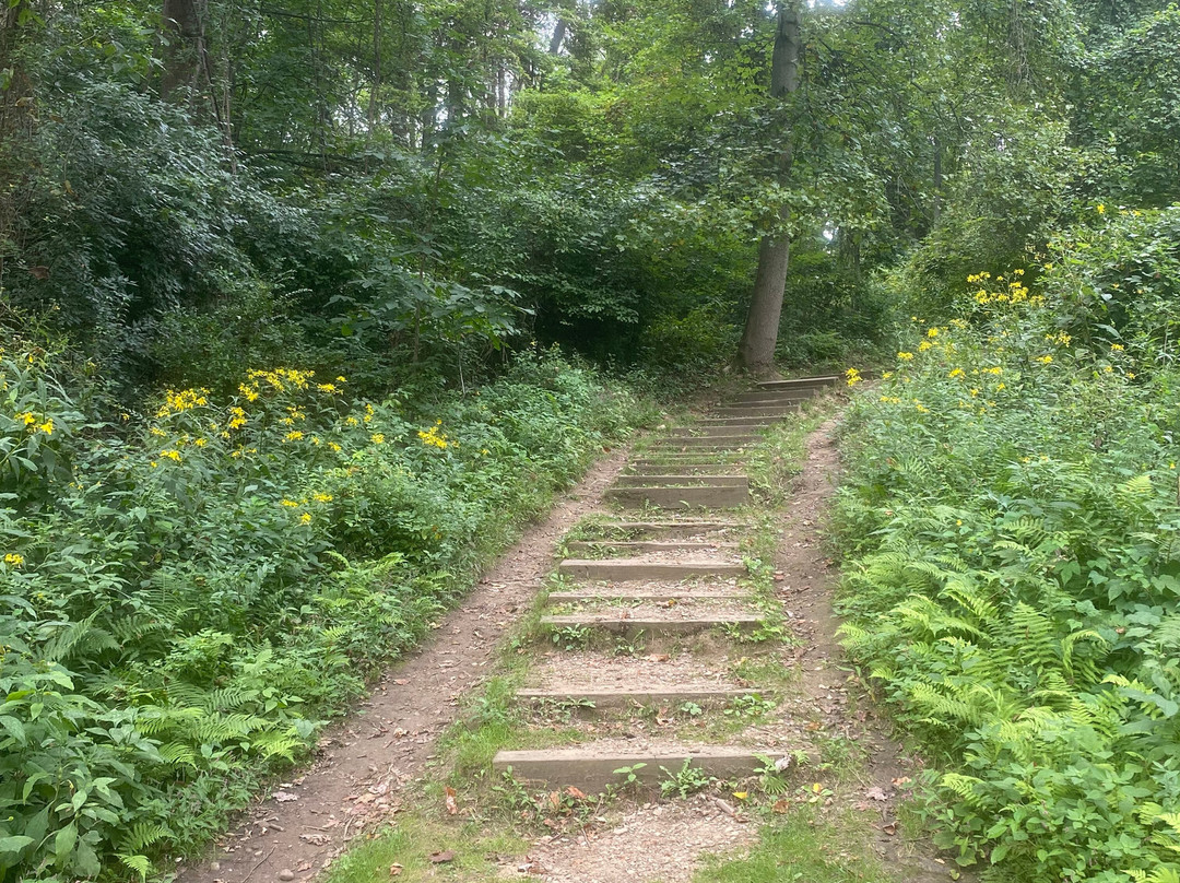 Cascade Valley Park-阿克伦必去景点