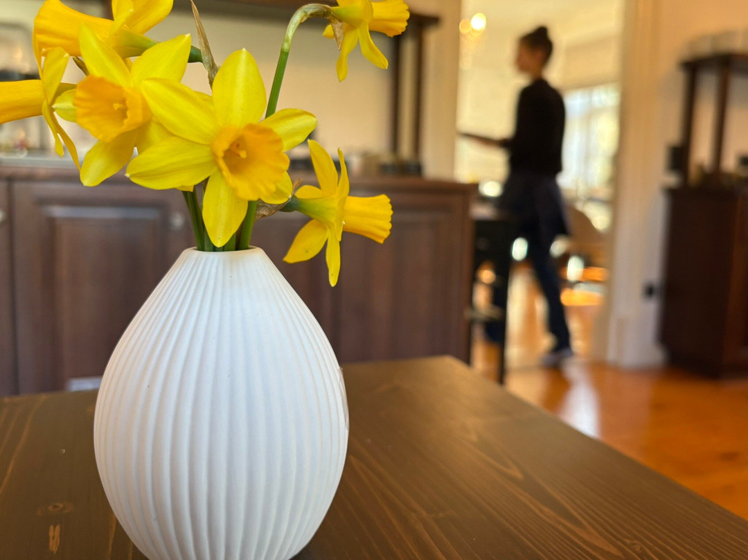 加尼莱克麦斯霍夫酒店主图