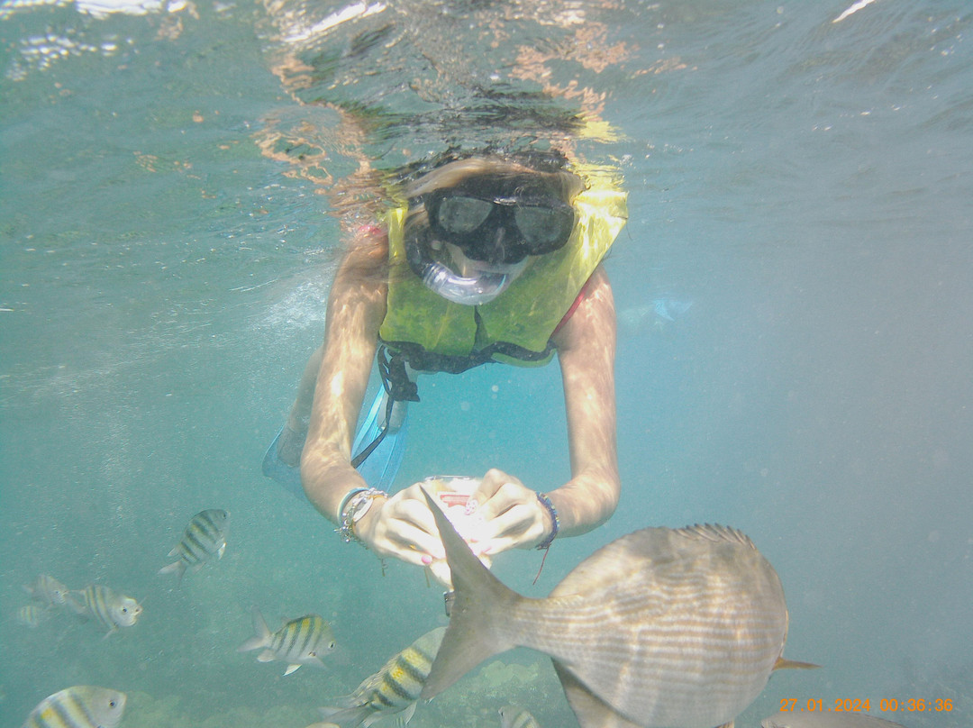 Snorkeling Tour Varadero-巴拉德罗必去景点