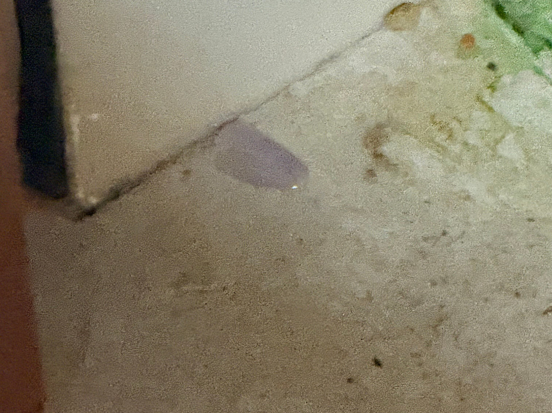 智选假日套房酒店花絮主图