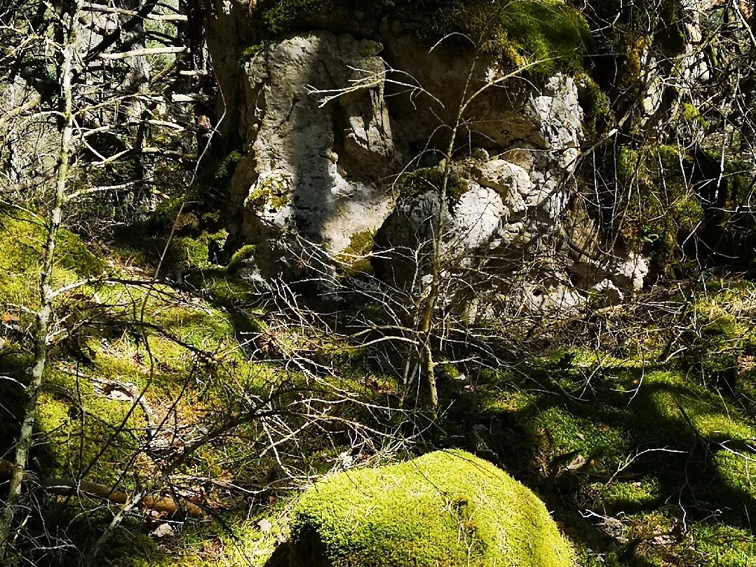 Les failles de Canalettes-Nant必去景点