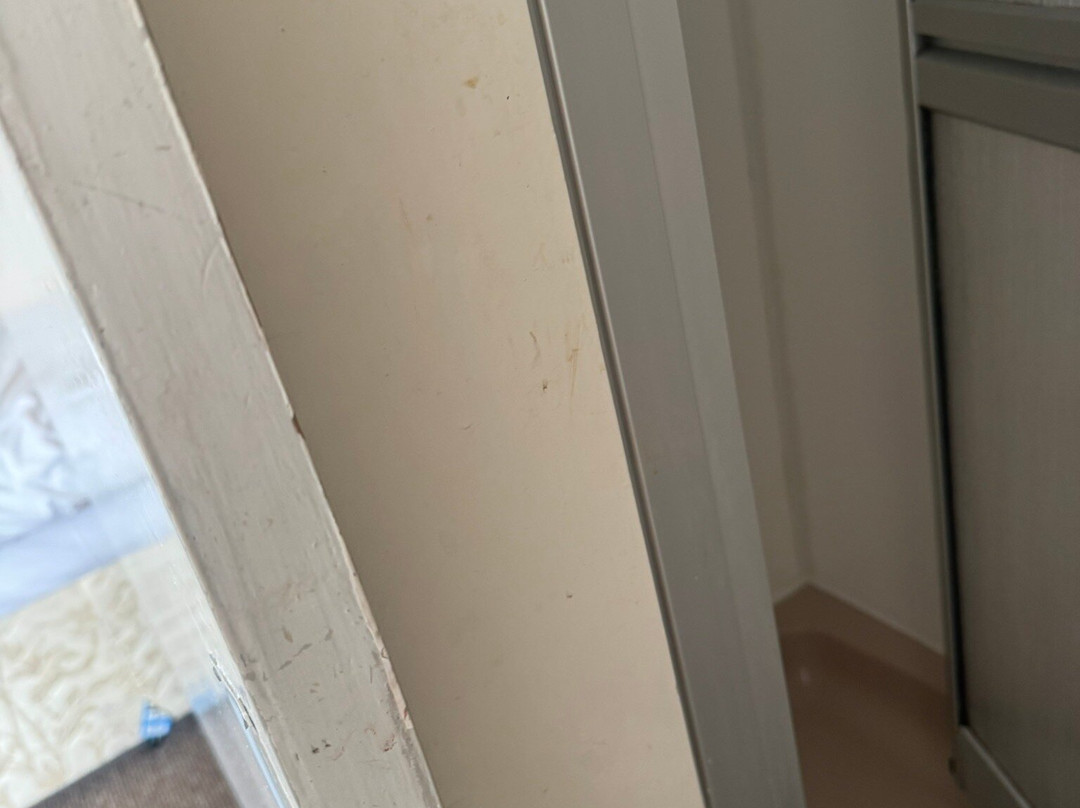 教练与马酒店主图