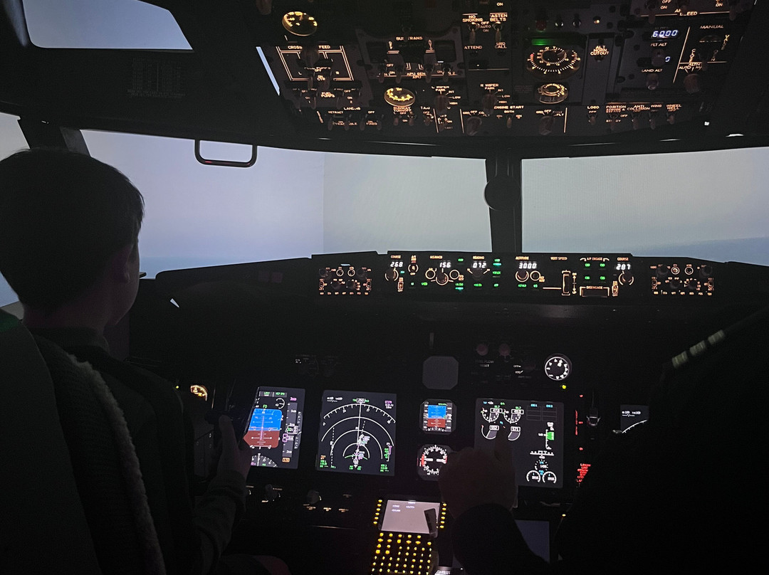 Trueflight Simulation Ltd-Albury必去景点