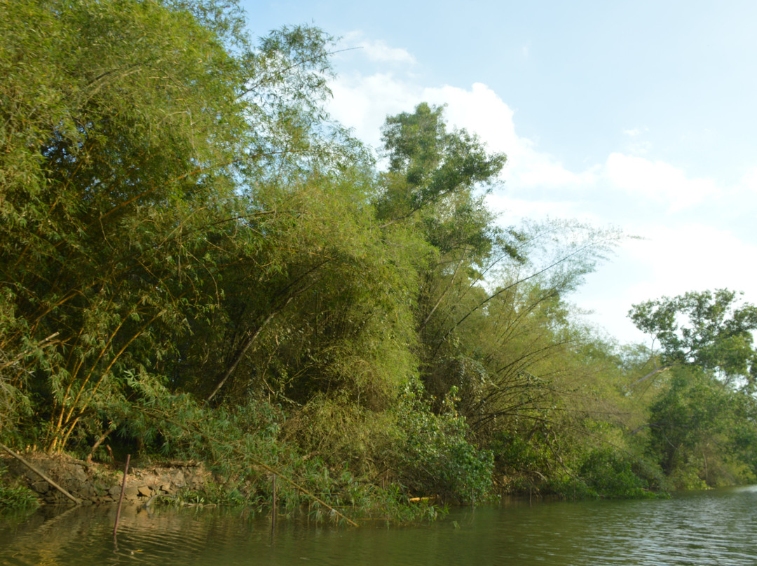 Poovar Backwater Cruise-Poovar必去景点