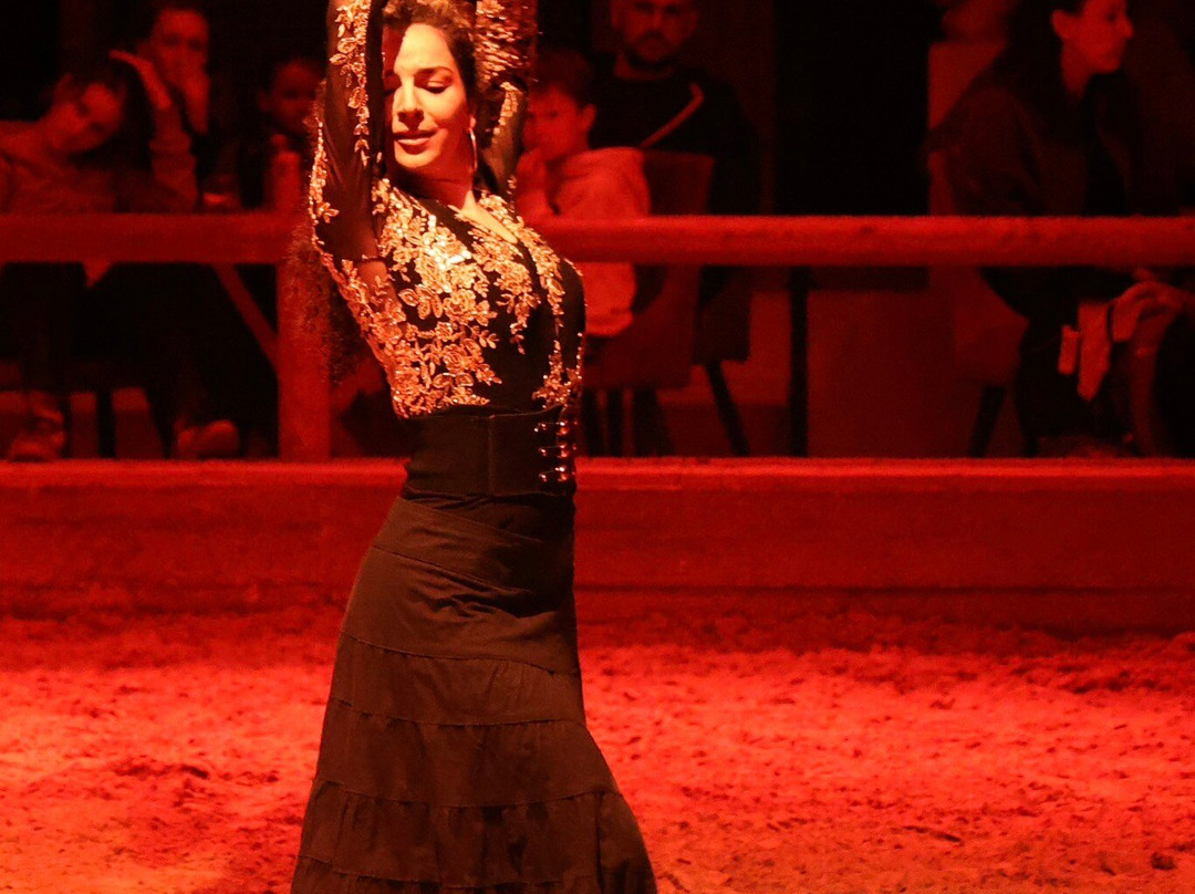 Equestrian Theater Camarkas-滨海圣玛丽必去景点