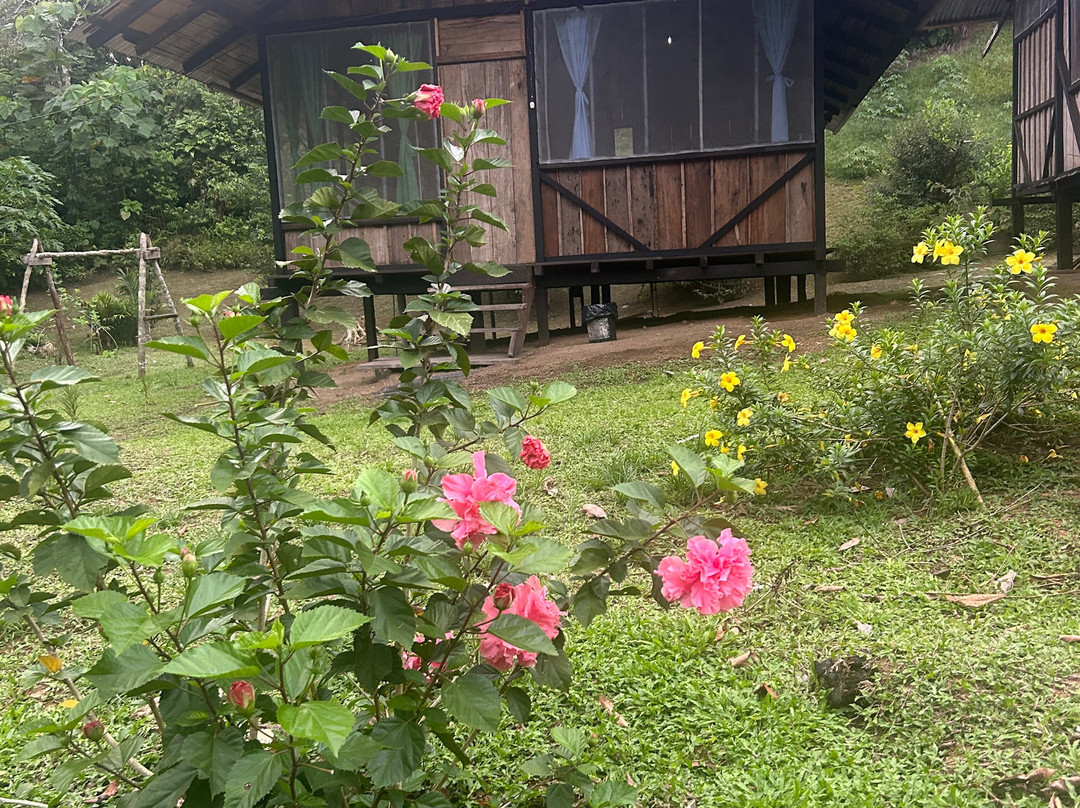 Selva Verde Tours-Misahualli必去景点