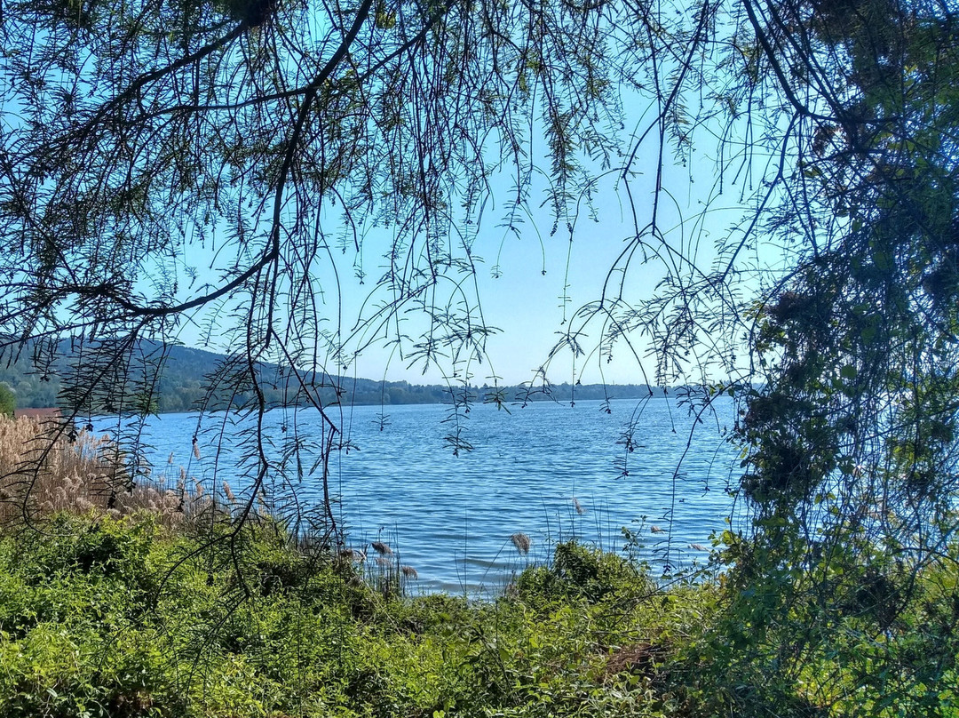 Villaggio Operaio Di Varano Borghi-Varano Borghi必去景点