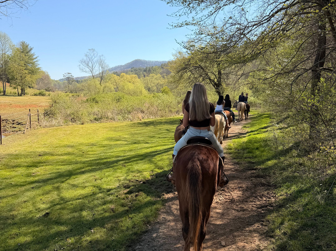 Appalachian Trail Rides-Mineral Bluff必去景点