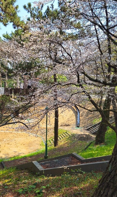 Nishi Park-Chuo必去景点