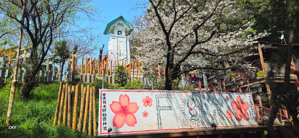 Nishi Park-Chuo必去景点