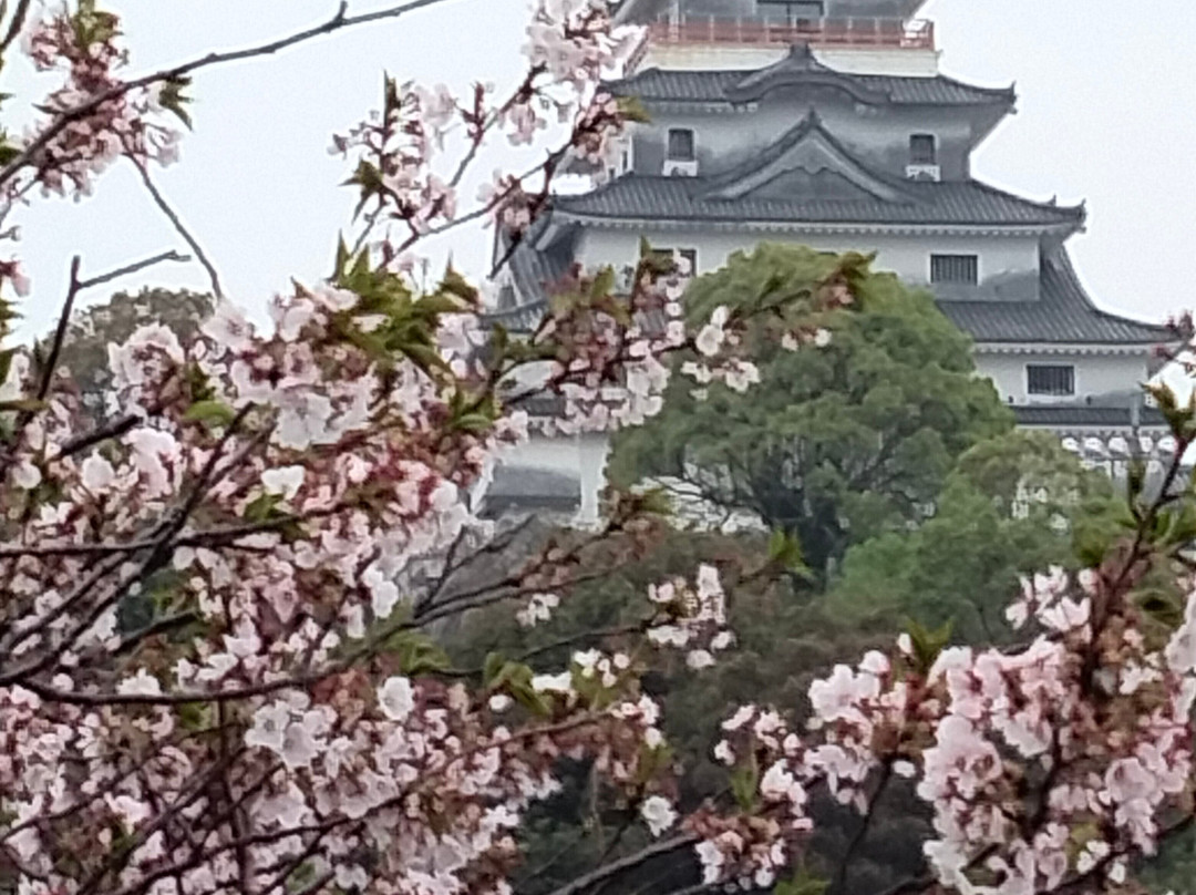 唐津城-唐津市必去景点
