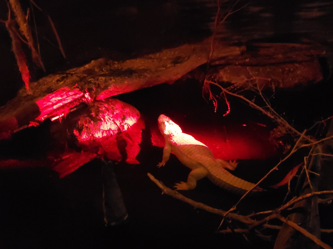 奥马哈亨利多立动物园-奥马哈必去景点