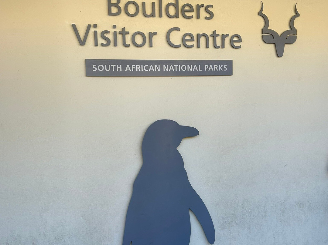Boulders Beach Penguin Colony-西门镇必去景点