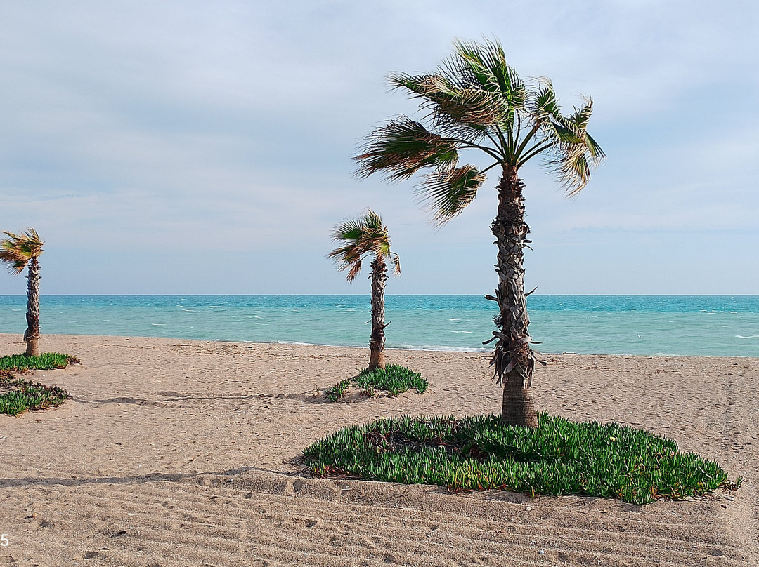 卡利梅拉塞拉皇宫俱乐部酒店主图