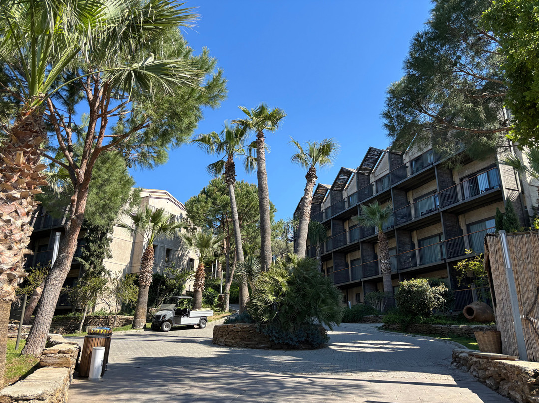 俱乐部马尔维酒店主图