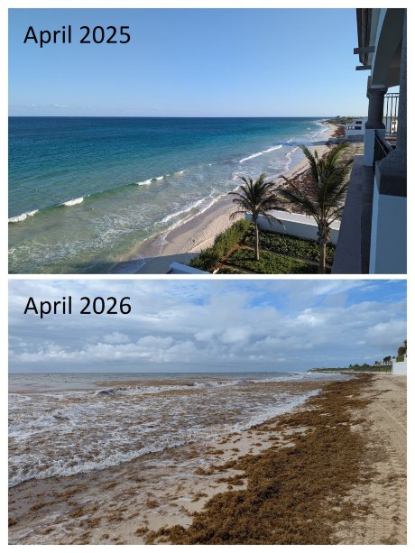 坎昆里维埃拉大法义公寓式酒店 - 全包式住宿-泳池