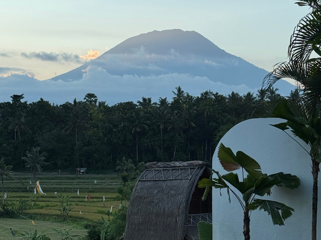 Lovina Transport Bali 007-罗威那海滩必去景点