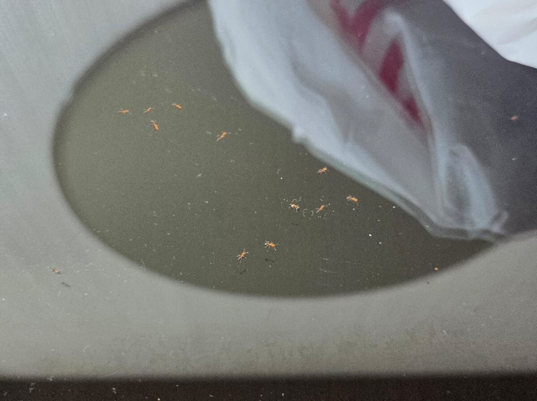 富查伊拉皇家M酒店-由Gewan管理主图