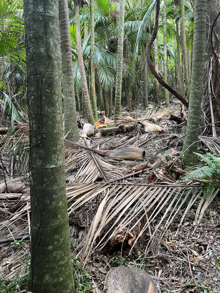 格林曼特庄园小屋-旅行者
