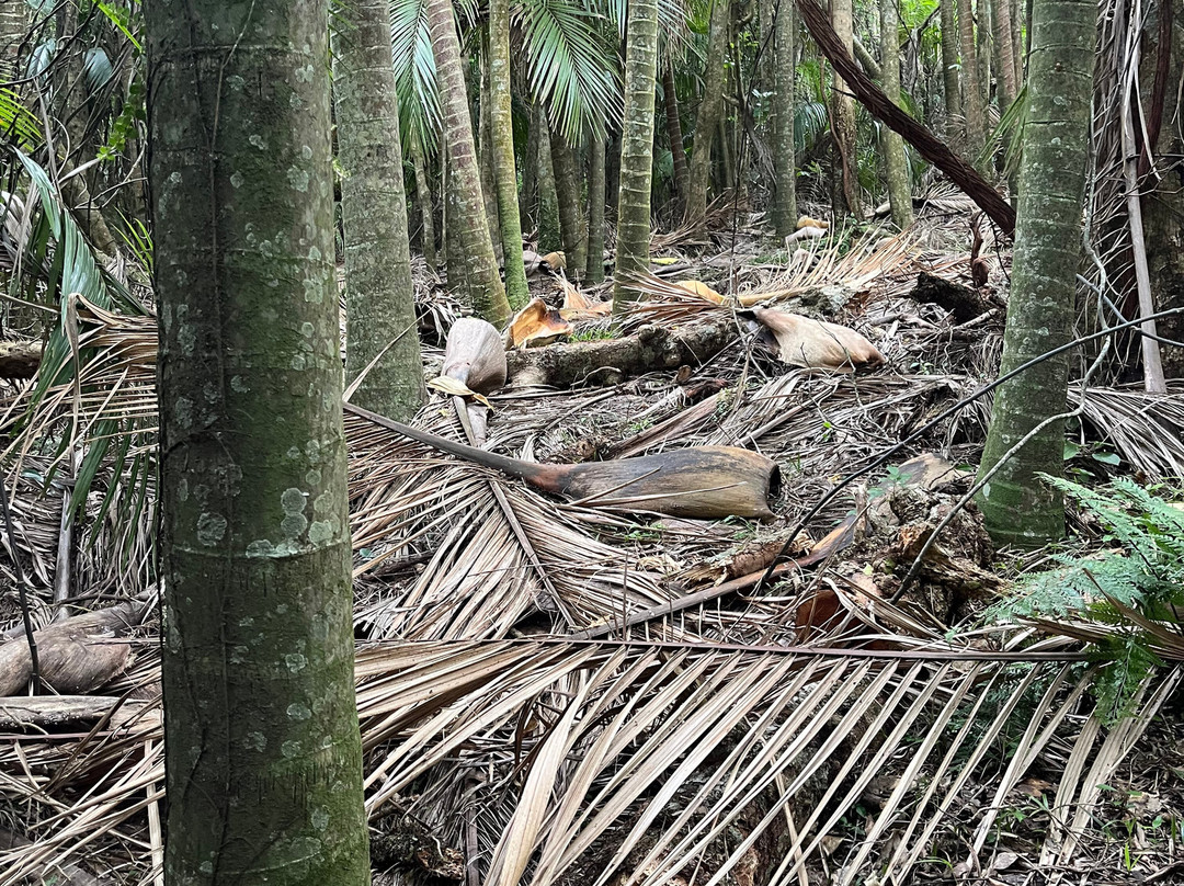 格林曼特庄园小屋主图
