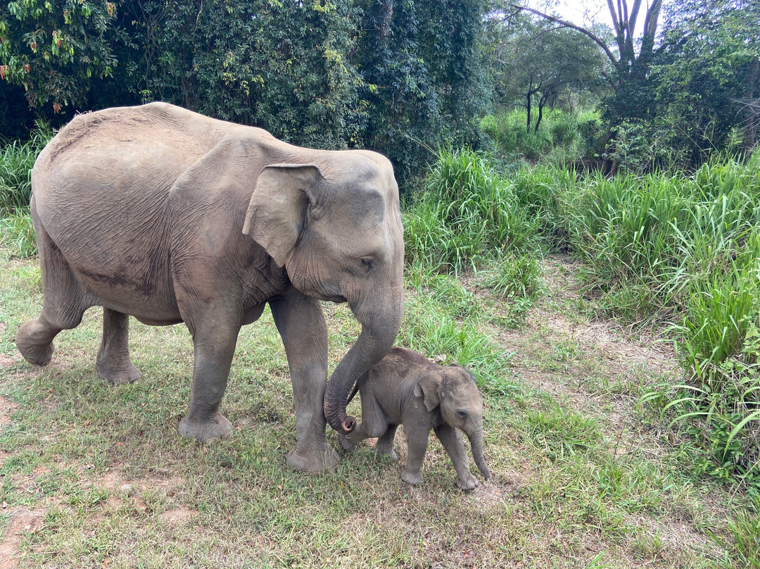 Gihan Tours Sri Lanka-瓦勒迦玛必去景点