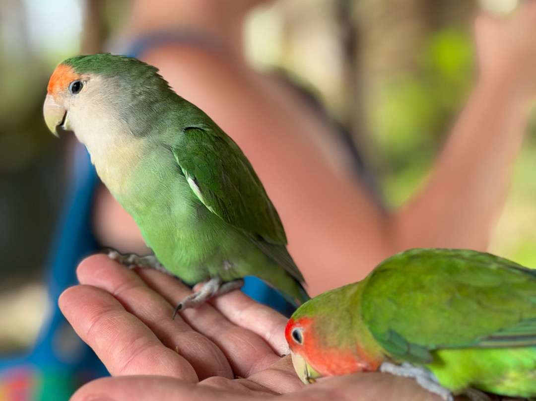 Ocean World Adventure Park, Puerto Plata-普拉塔港必去景点