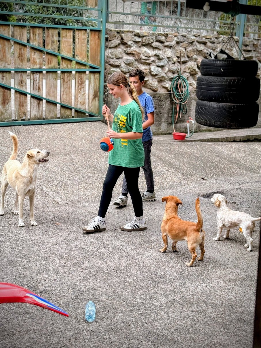 卡萨维尔德生态宾馆-旅行者