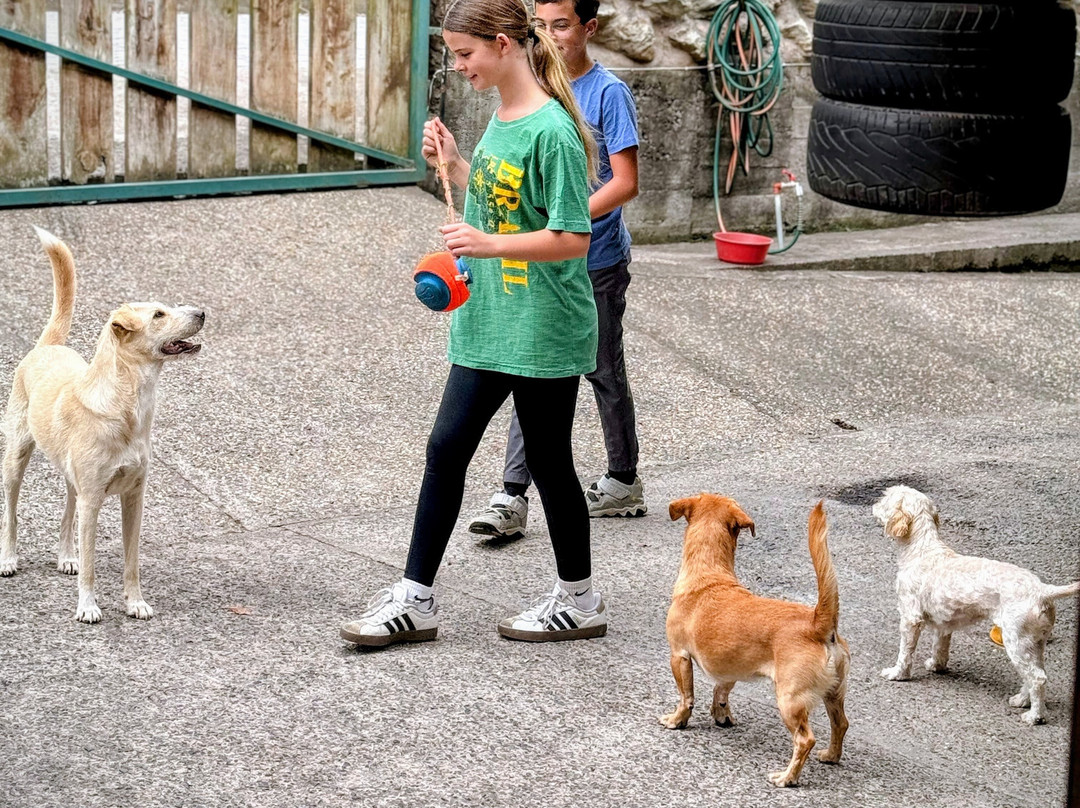 卡萨维尔德生态宾馆主图