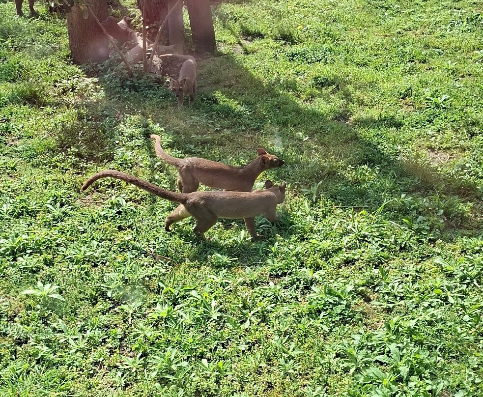 Lo Zoo di Napoli-那不勒斯必去景点
