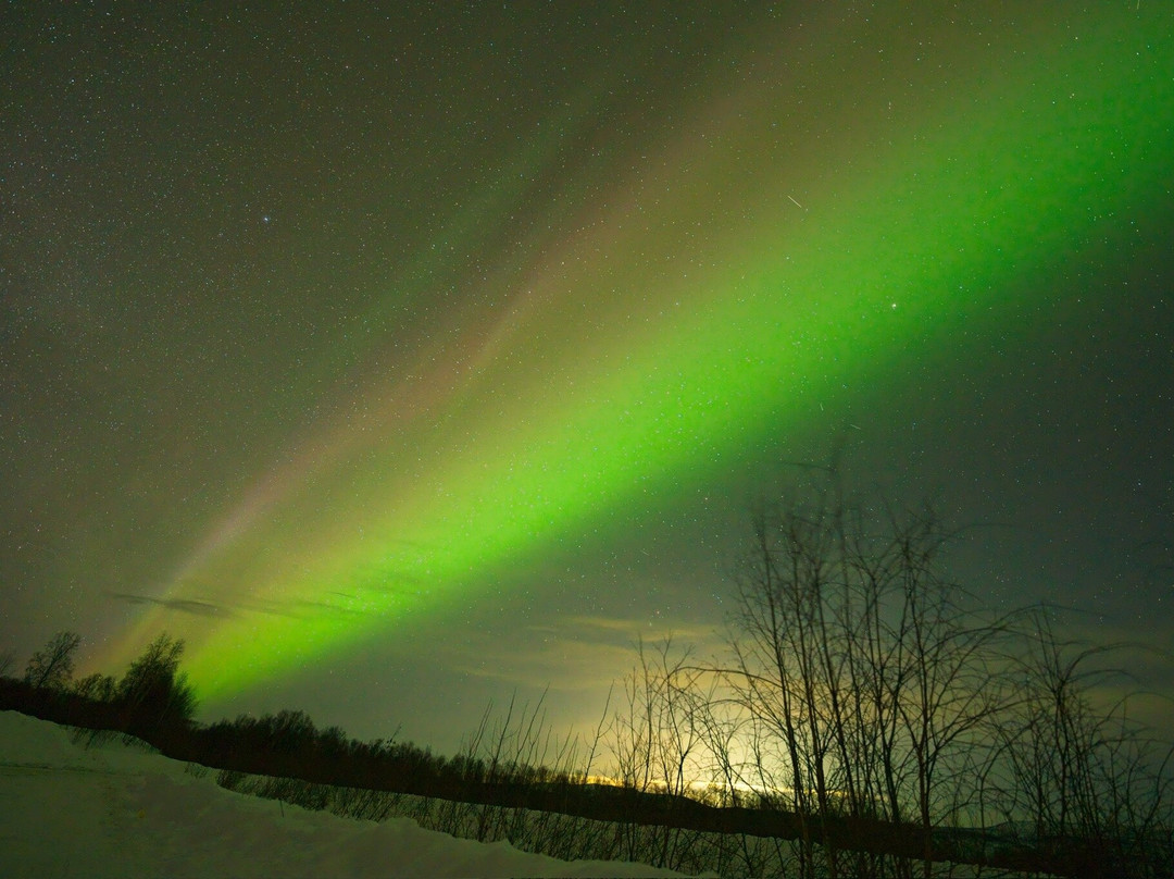 Aurora Husky Lodge - Aurora Viewing-费尔班克斯必去景点