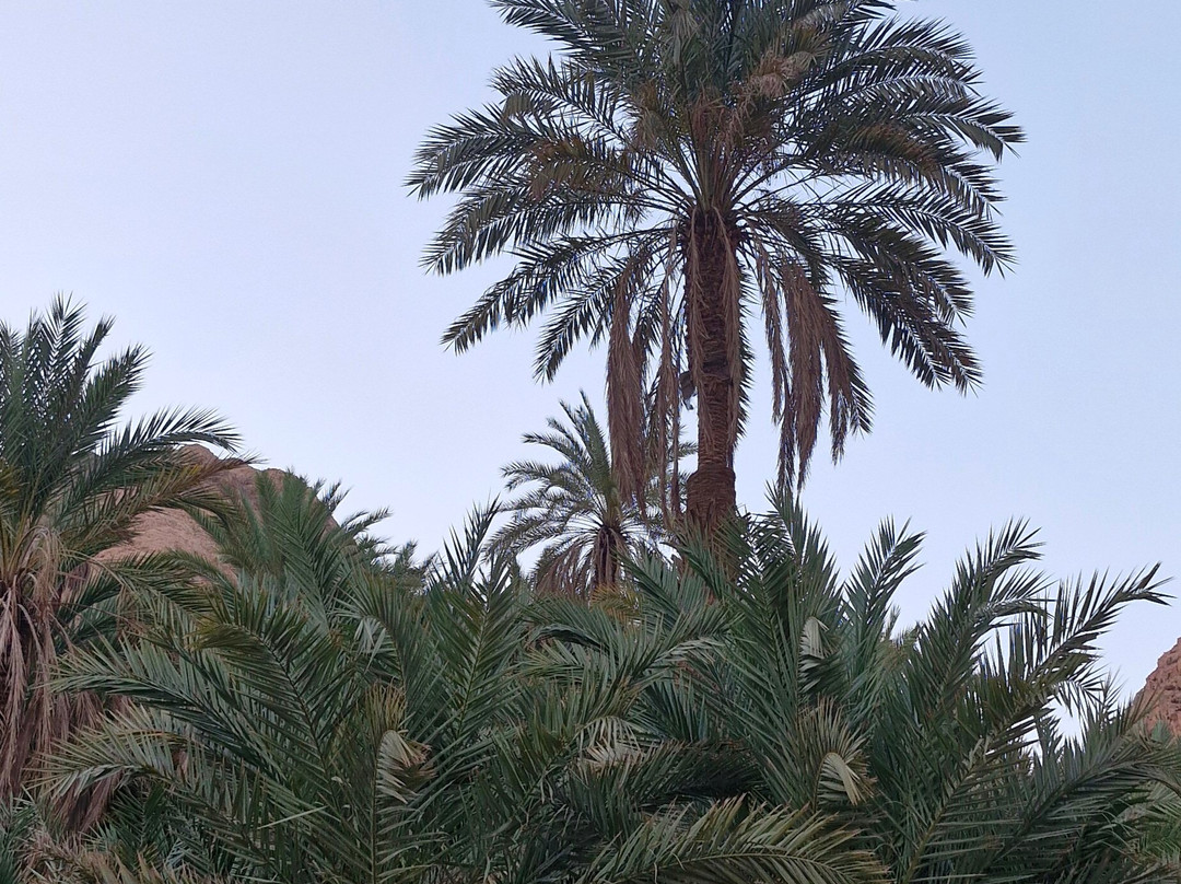 幸福生活村度假酒店主图