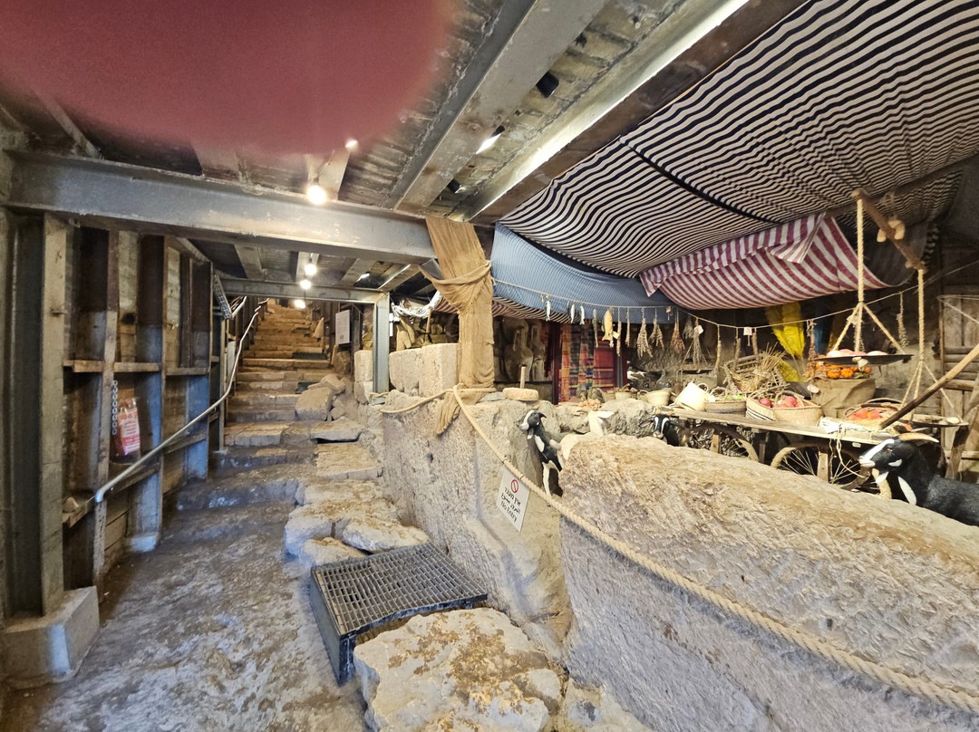 City Of David National Park-耶路撒冷必去景点