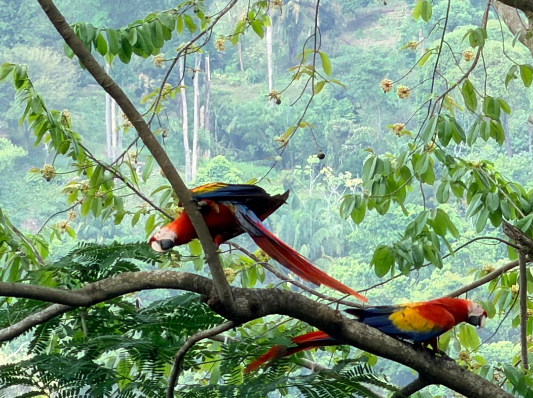 洛斯奥托斯度假村主图