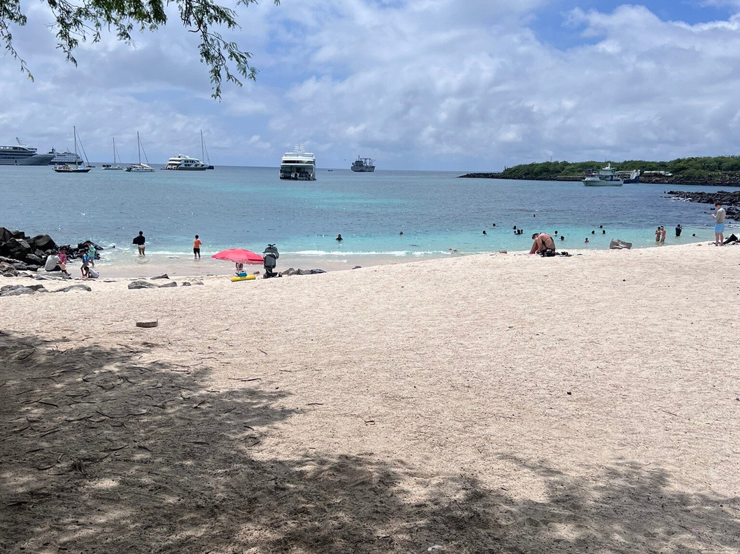 普拉亚曼海滩住宿加早餐旅馆主图