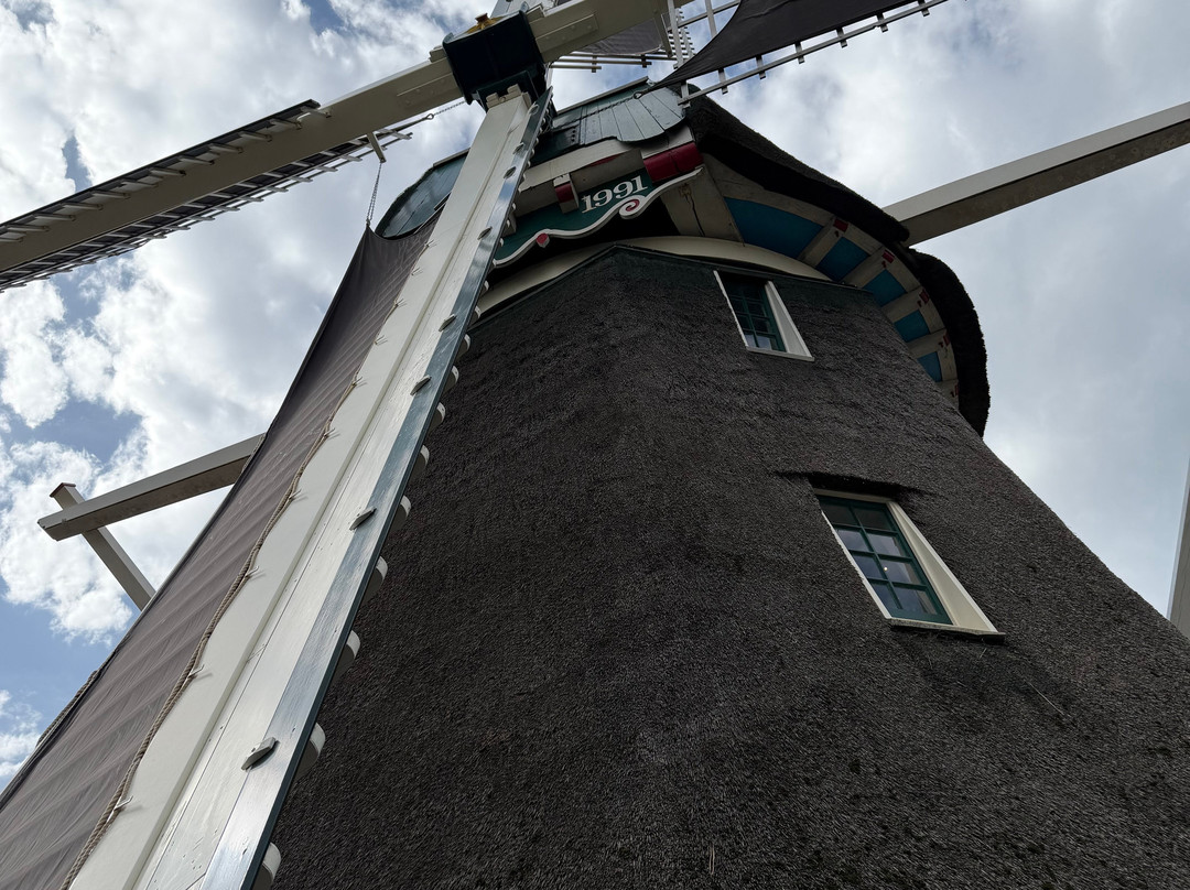 Molen Van Sloten-阿姆斯特丹必去景点