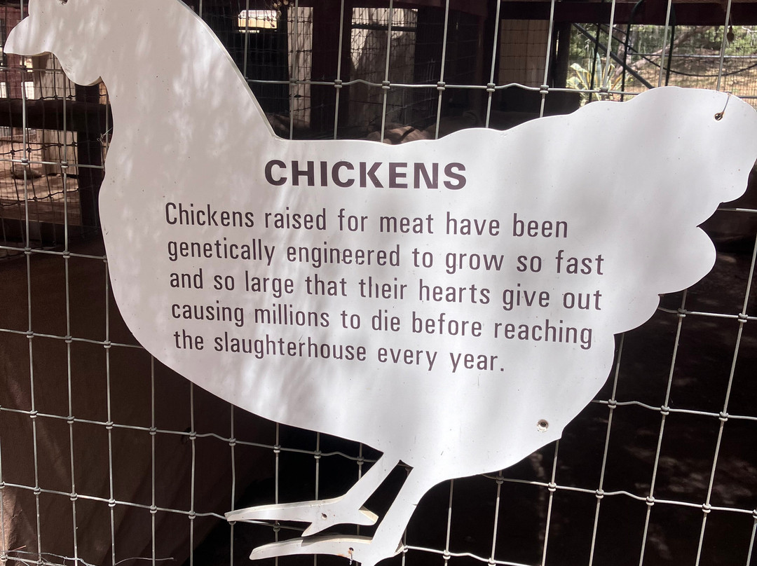 Farm Sanctuary-ACTON)必去景点