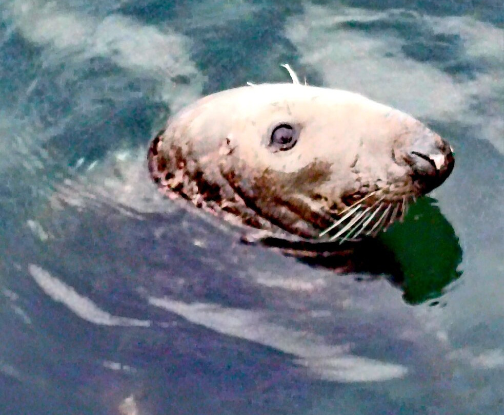 Killybegs Angling Charters-Killybegs必去景点