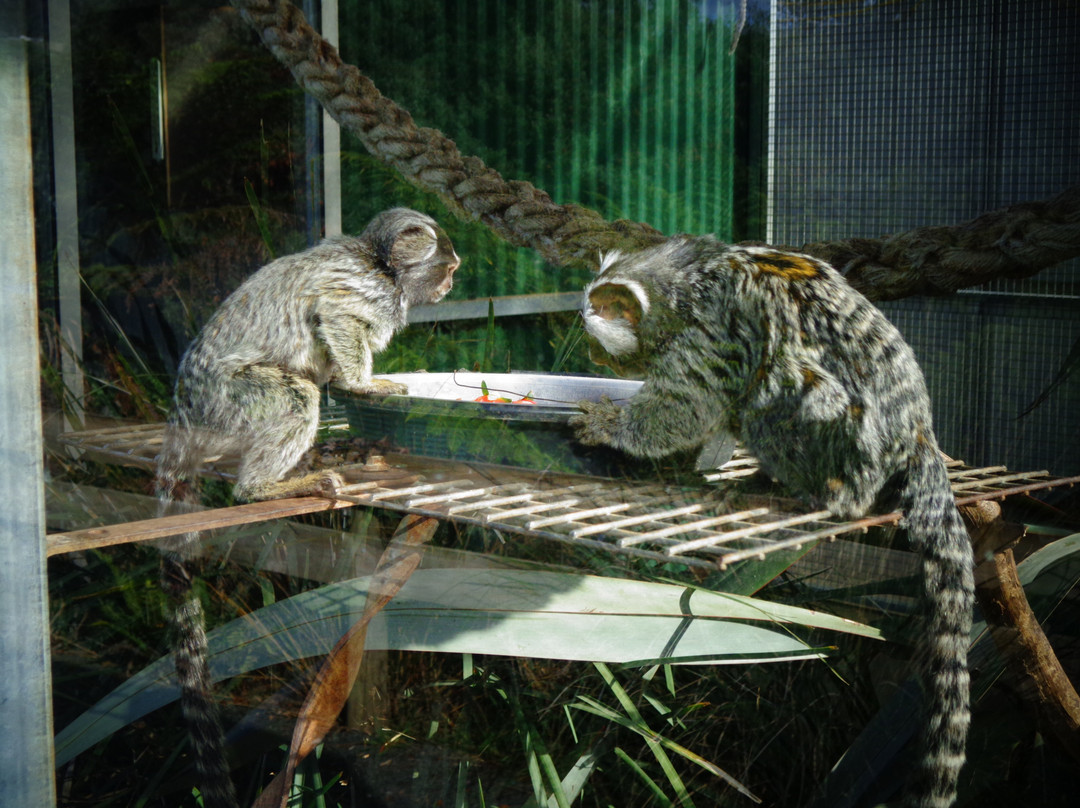 Wings Wildlife Park-Gunns Plains必去景点