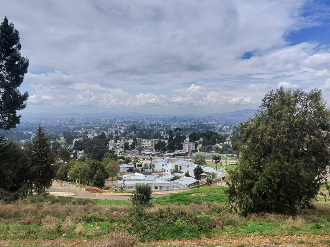 Addis Ethiopia Tours-亚的斯亚贝巴必去景点